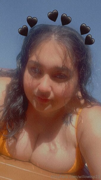 willowisp23 Nude Leaks Photo 1