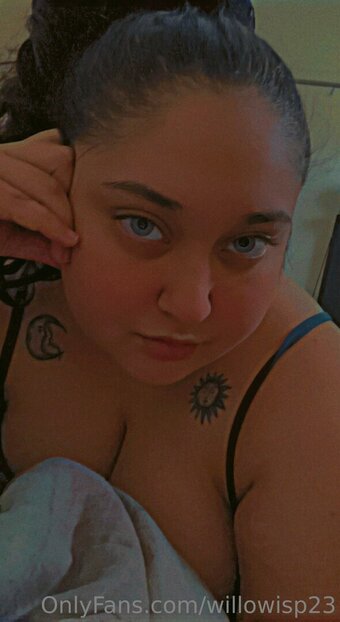 willowisp23 Nude Leaks Photo 4