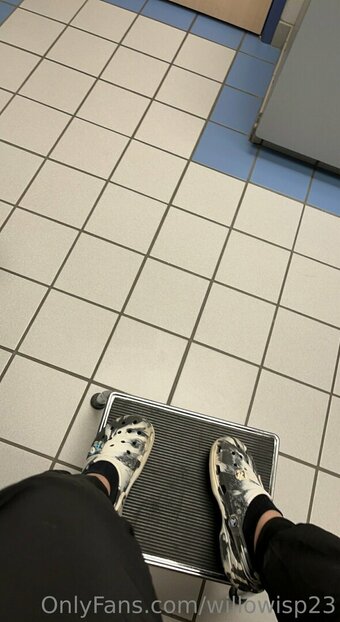 willowisp23 Nude Leaks Photo 7