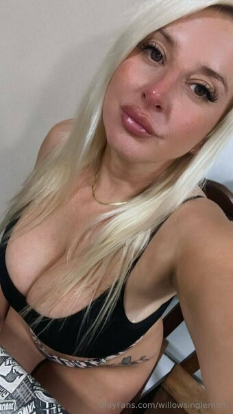 willowsinglemom Nude Leaks Photo 1