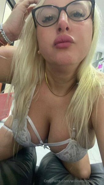 willowsinglemom Nude Leaks Photo 10