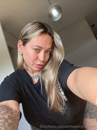 willowsinglemom Nude Leaks Photo 19
