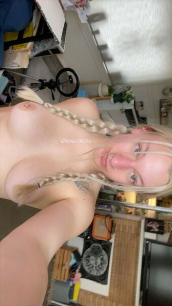 willowxwolfe Nude Leaks OnlyFans Photo 4