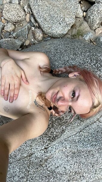 willowxwolfe Nude Leaks OnlyFans Photo 23