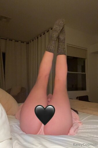 WineOperator / winerator Nude Leaks OnlyFans Photo 20