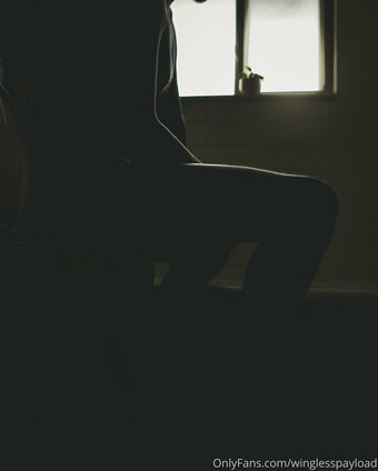 winglesspayload Nude Leaks Photo 5