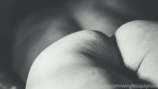 winglesspayload Nude Leaks Photo 6
