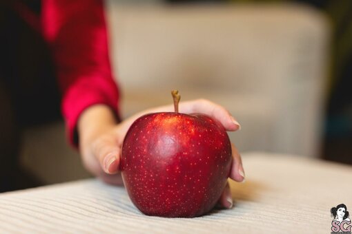 Wingsweak Nude Leaks Photo 24