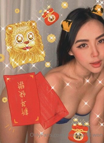 wonchaful.won Nude Leaks Photo 12