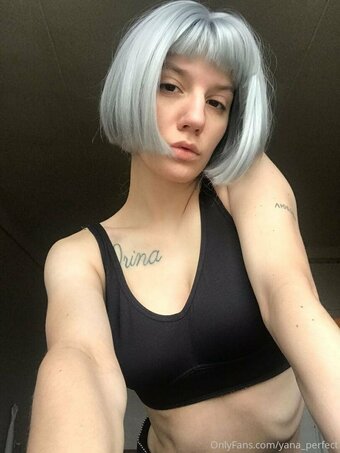yanaperfect