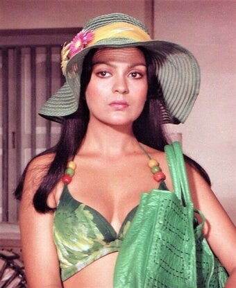 Zeenat Aman