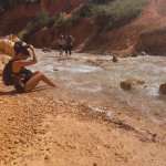 2021-03-21 13.55.49 2534293493289262322_4316455030.jpg