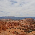 2021-03-21 13.55.49 2534293493322712018_4316455030.jpg