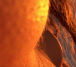 Ekran Görüntüsü (24) (1).jpg