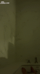 amaleaked.com-Rebecca+Radis-57.gif