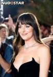 Dakota_Johnson_nude_leaked_008.jpg