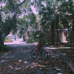 13724518_1754760374772515_190346906_n (1).jpg