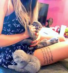 61020643_586873041716205_2388536608432036468_n (1).jpg