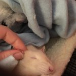 655091520_18349466602213767_3305650327417424318_n (1).jpg