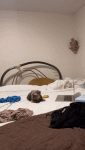 iconicolee_2024-06-11-0619_2ygb9.gif