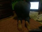 2bf95b789aeed9a0db108ba10790ccf3867ce2fa43be372e237dcf9e932d99bc.jpg