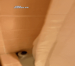 Taylor-Fillbach-7+(1).gif