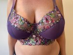 Purple new bra 5.jpg