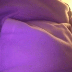 178242333350 late night stuffing comes w 7 gifs an.gif