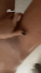 4.gif