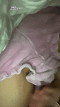 253.gif