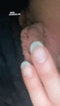 169.gif