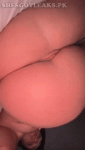 703.gif