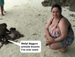 Alice 85 JJ -visiting the beach and making monkeys astounded.jpg