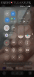 11.gif