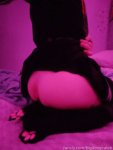 fdc9d507949c3cc998ae4dcb78a601fc22d33df5e1d52f6cd5c272d4e95d5c95.jpg