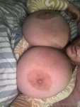8cd8539cac55f5e2e86f01352416f98702e46eebed7bb928f5c7fc0cebcf55fe.jpg