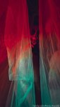 d2e8487d23a59763ea6c2c69f14623d7e61217d52cda0e1a1beca4012c5eeafd.jpg