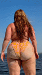 DidIgetitall.gif.de42fbb967b6c6b57ded0d01138b3f72.gif