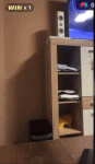 6960422768214484372.gif