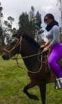 adjunto_1115282.jpg
