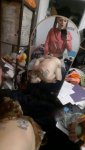 Gi9kqJTXUAAQNO1.jpg