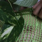 Harami-Mami-Pics(Ra.1) -73.jpg