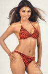 sherlyn-chopra-2297.jpg