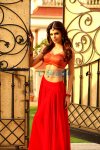 Sherlyn-Chopra236.jpg