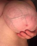 Big veiny udders (9).jpg