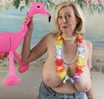 cheeky beach party shoot today - hula hula and cousin daisy shorts - no flamingos __ harmed in...jpg