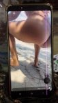 VideoCapture_٢٠٢٠٠٨٢٩-١٦١٨٠٣.jpg