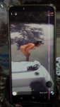 VideoCapture_٢٠٢٠٠٨٢٩-١٦١٨٣٩.jpg