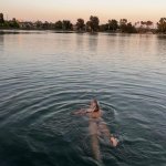 296923039_1456021248249012_3600019540289907792_n (1).jpg