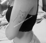 normal twitter (65).jpg